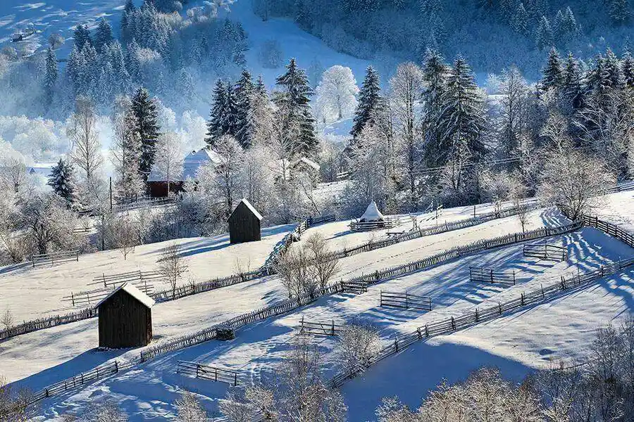 Bucovina Iarna