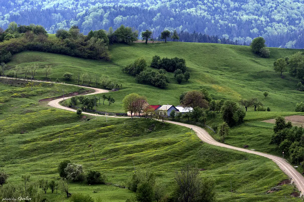 Primăvara: Când Bucovina se trezește