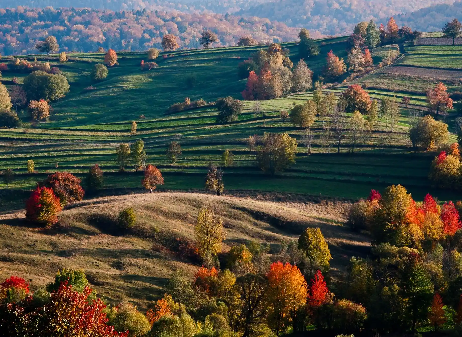 Bucovina Toamna