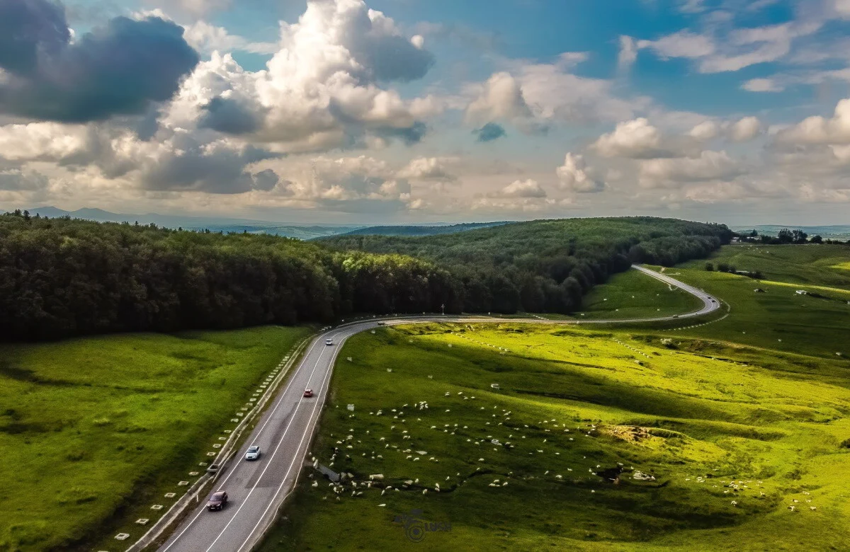 Bucovina Vara