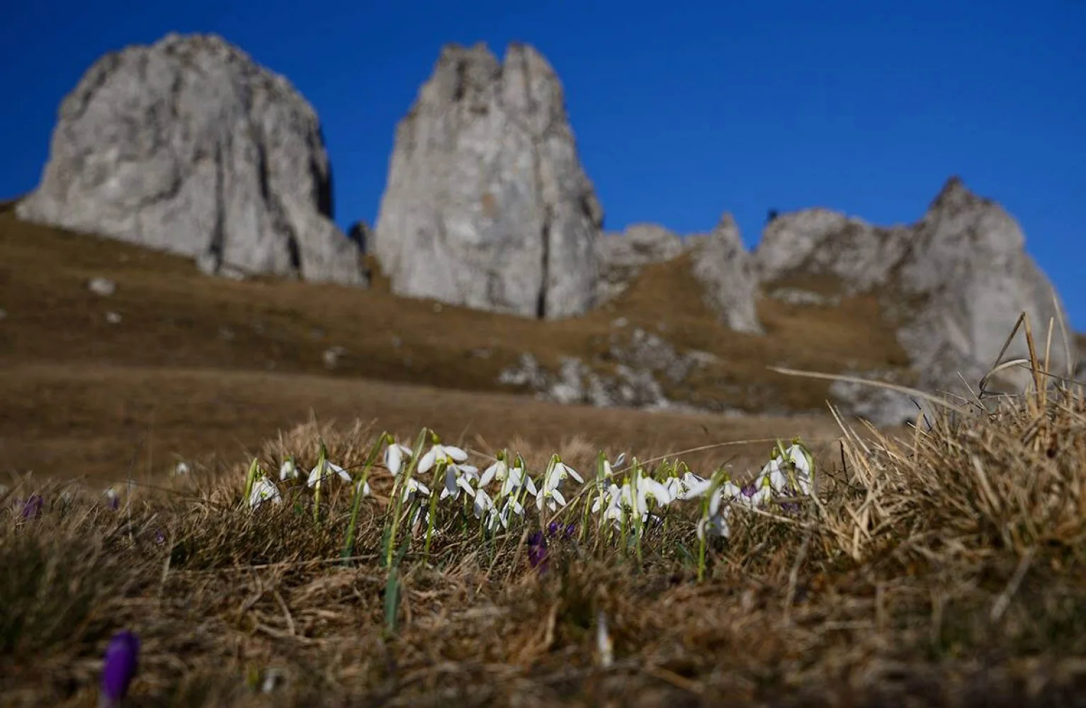 Munții Rarău și Giumalău: Paradisul excursioniștilor