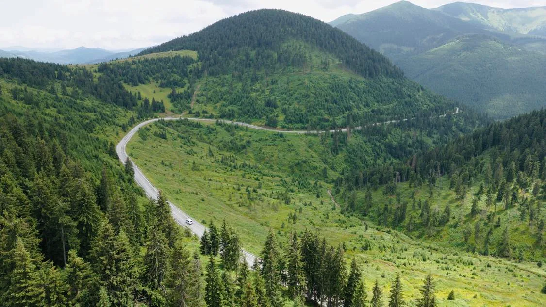 Pasul Prislop: Pânza proprie a naturii